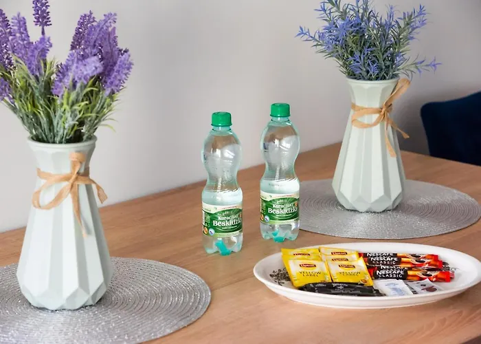 Mokotow Open Business Apartment